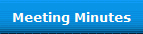 Meeting Minutes